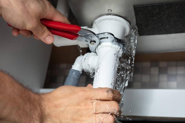 Best Carpet water damage restoration  in Fenton, MO