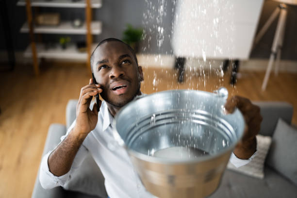 Best Residential water damage restoration  in Fenton, MO