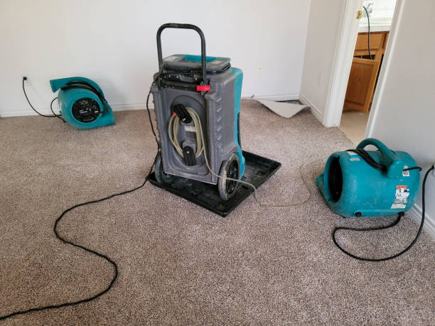 Best Water damage restoration near me  in Fenton, MO