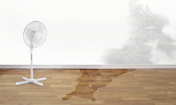 Best Flood damage cleanup  in Fenton, MO