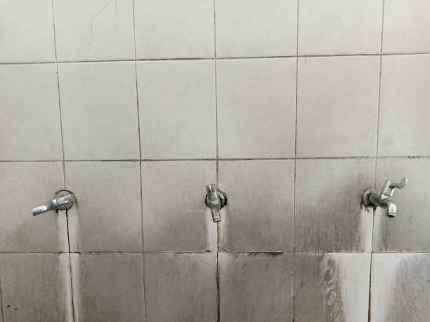 Best Carpet water damage restoration  in Fenton, MO