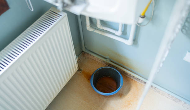 Best Water damage restoration insurance claims  in Fenton, MO