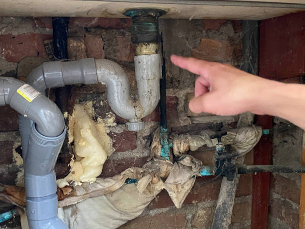 Best Flood damage cleanup  in Fenton, MO
