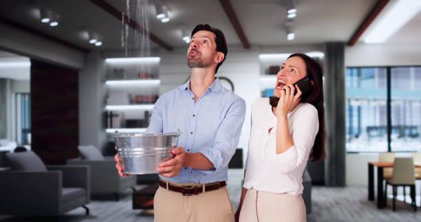 Best 24-hour water damage restoration  in Fenton, MO