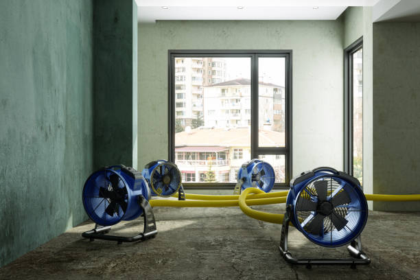 Best 24/7 water damage repair  in Fenton, MO